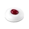 Neogen Real Fresh Foam Cranberry Пенка для умывания с ягодами клюквы — изображение 2